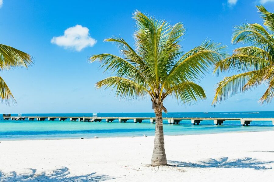 From Miami: Key West Day Trip - Six hours to find your Key West