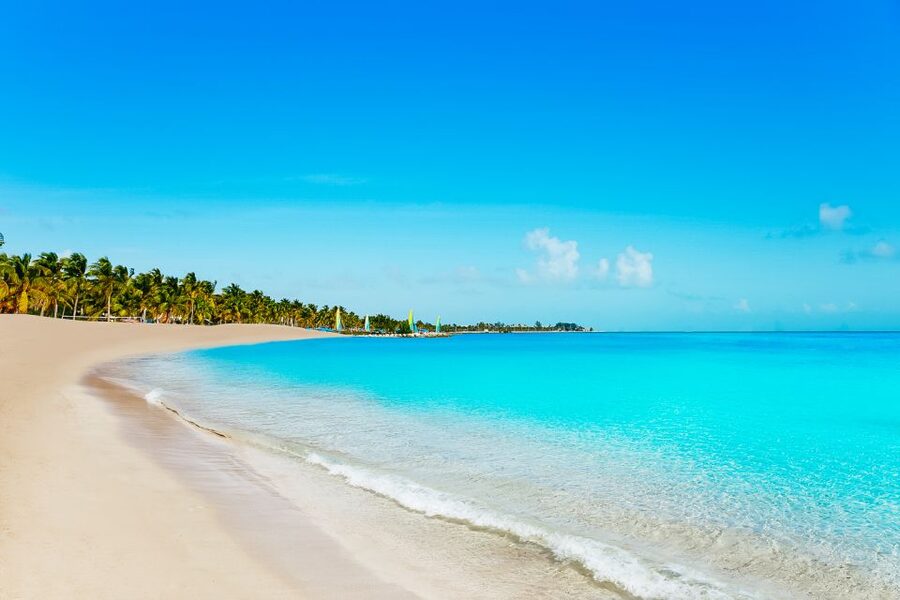 From Miami: Key West Day Trip - Glass-bottom boats and sightseeing rides