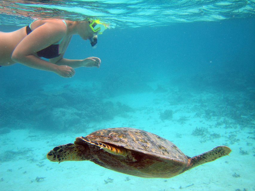 From Miami: Key West Day Trip - What to do with your free time