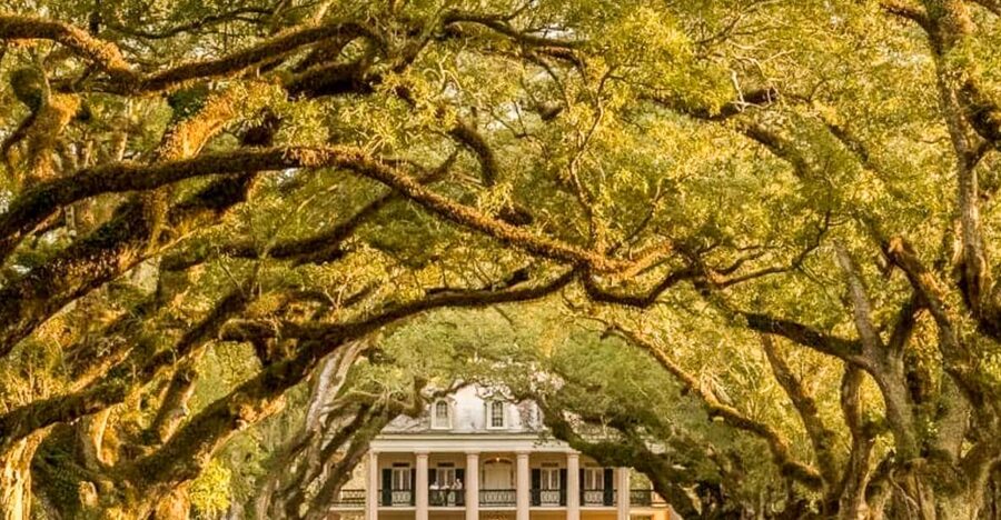 From New Orleans: Oak Alley Plantation Tour - Why Oak Alley is worth the drive from New Orleans