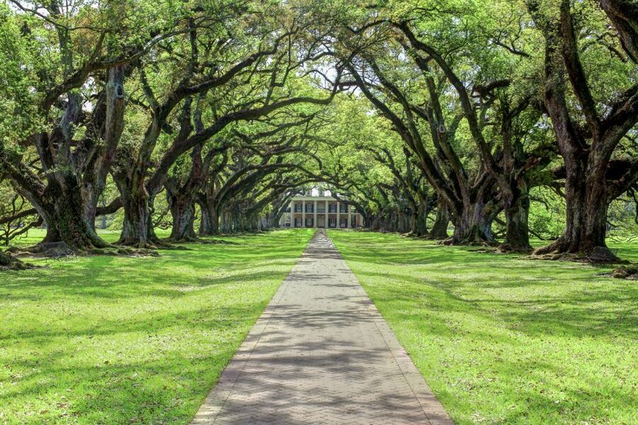 From New Orleans: Oak Alley Plantation Tour - Farm machinery, grounds, and free time