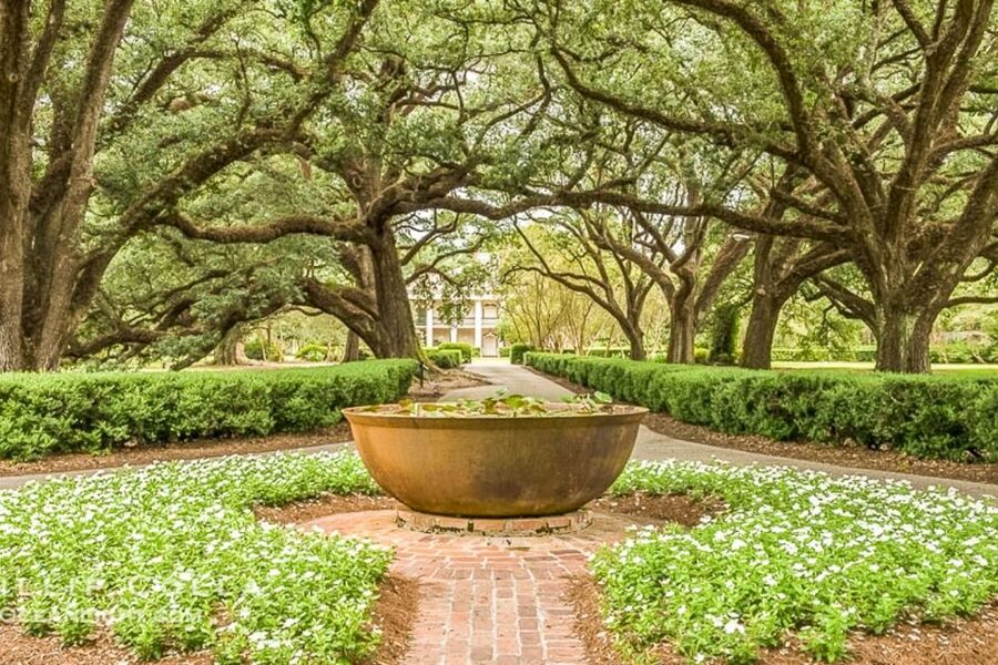 From New Orleans: Oak Alley Plantation Tour - The New Orleans pickup and the long ride south
