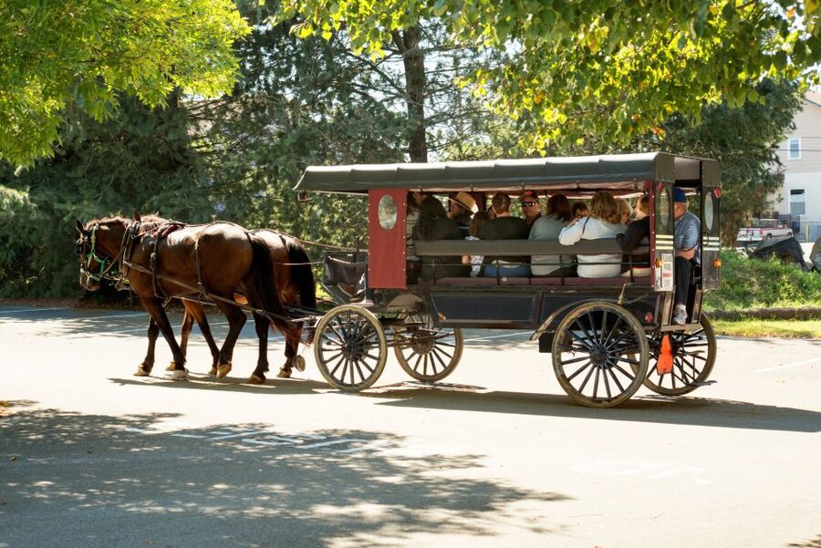From NYC: Day Trip to Philadelphia and Amish Country - Is $149 good value for a 14-hour day?