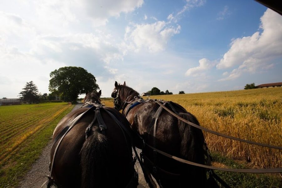 From NYC: Day Trip to Philadelphia and Amish Country - Guides, translations, and the human side of the tour