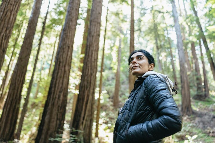 From San Francisco: Guided Muir Woods Tour - Why Muir Woods makes this half-day worthwhile