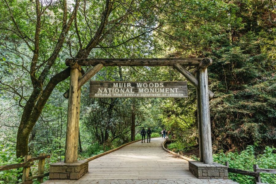 From San Francisco: Guided Muir Woods Tour - Crossing the Golden Gate Bridge