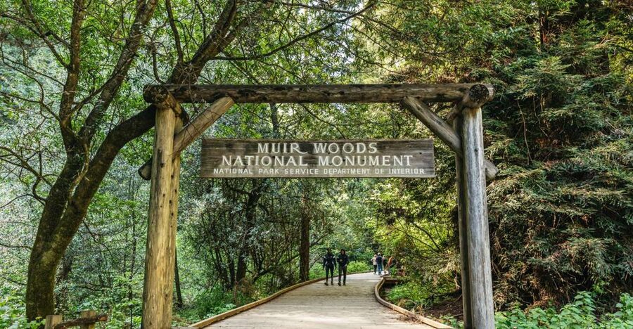 From San Francisco: Guided Muir Woods Tour - The ride from Fisherman’s Wharf