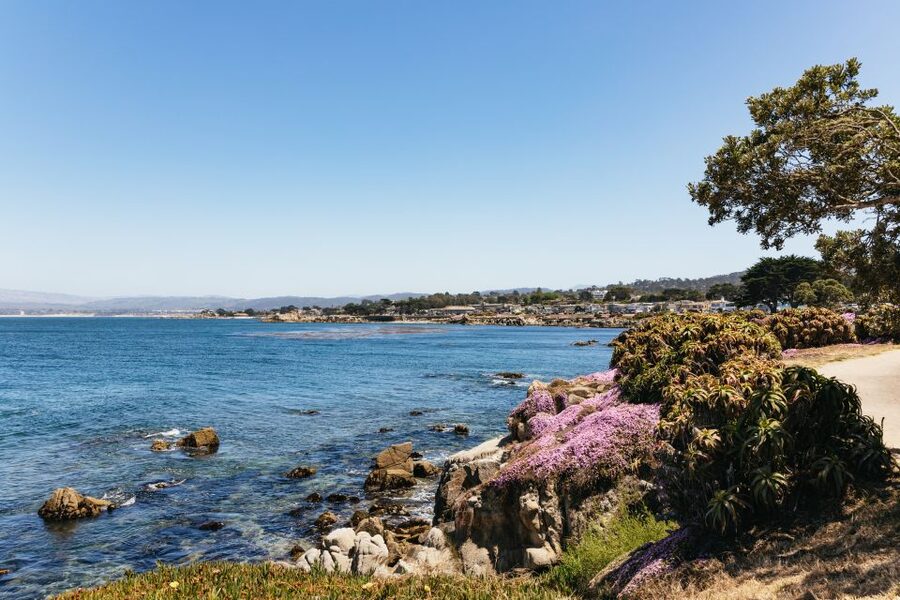 From San Francisco: Monterey and Carmel Day Tour - What the long coach ride feels like