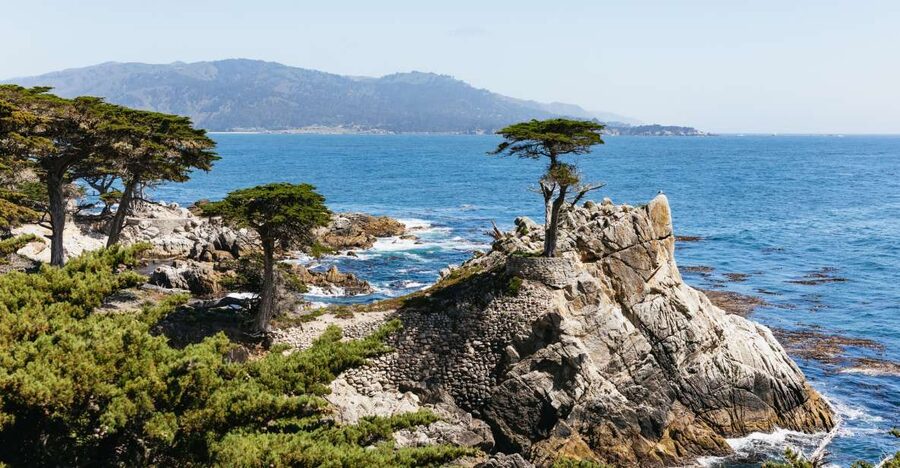 From San Francisco: Monterey and Carmel Day Tour - Why this coastal day works so well from San Francisco