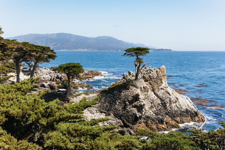 From San Francisco: Monterey and Carmel Day Tour - Pigeon Point Lighthouse and Davenport: scenic stops before Monterey