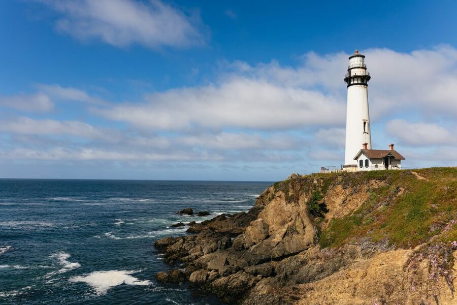 From San Francisco: Monterey and Carmel Day Tour - 17-Mile Drive and the Monterey Peninsula