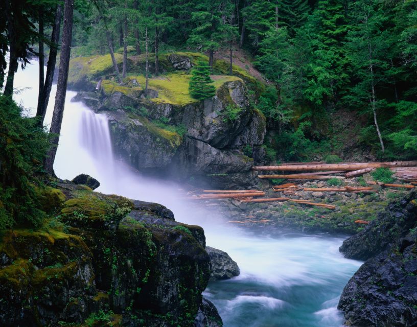 From Seattle: Mount Rainier National Park Guided Tour - Sunrise and Sourdough Ridge walking time