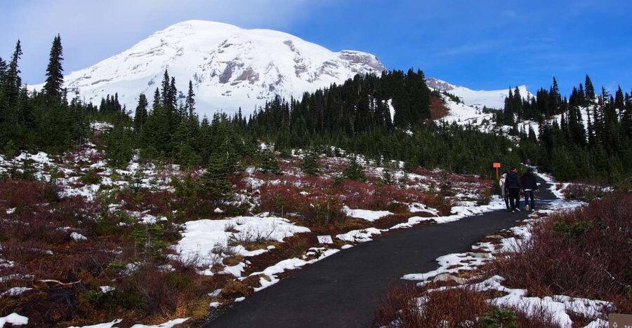 From Seattle: Mount Rainier National Park Guided Tour - What the guides add to the day