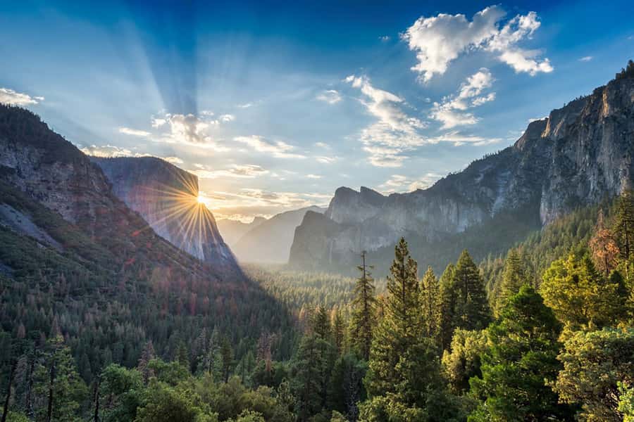 From SF: Yosemite Day Trip with Giant Sequoias Hike & Pickup - Half Dome and Yosemite Falls from the valley floor