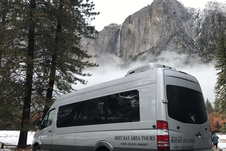 From SF: Yosemite Day Trip with Giant Sequoias Hike & Pickup - Tuolumne Grove and its 1.6-kilometer sequoia walk