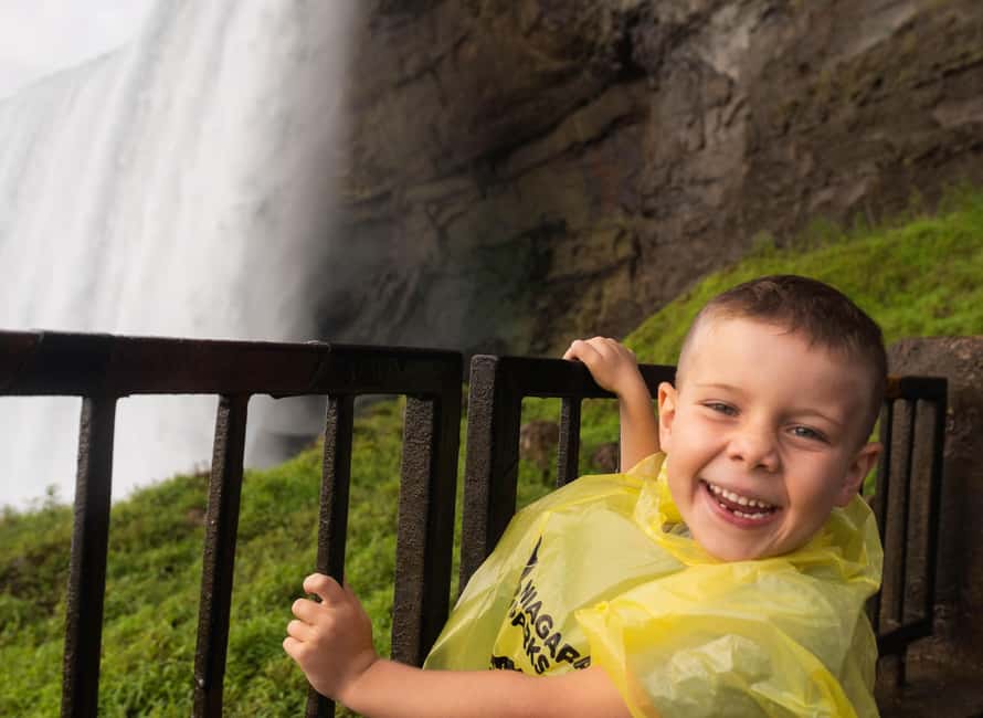 From Toronto: Niagara Falls Full-Day Bus Tour & Winery Stop - Comfort, timing, and the group experience