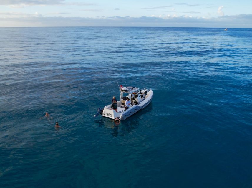 From Waikiki: Turtle Canyon Snorkeling Tour - Why the $81 price can make sense