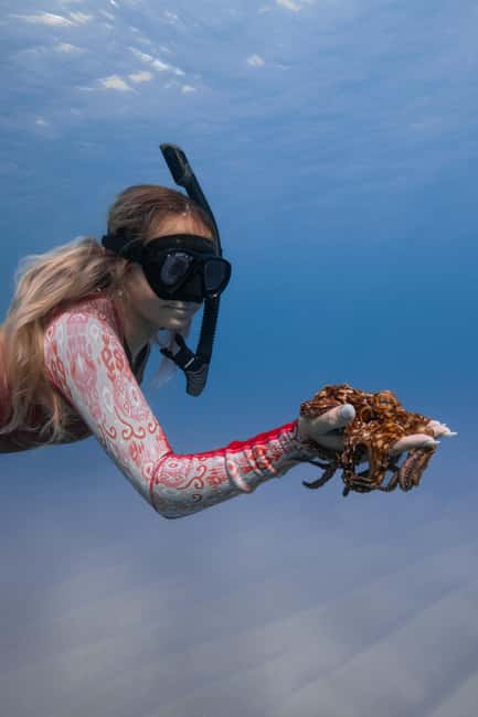 From Waikiki: Turtle Canyon Snorkeling Tour - Who will get the most from this outing