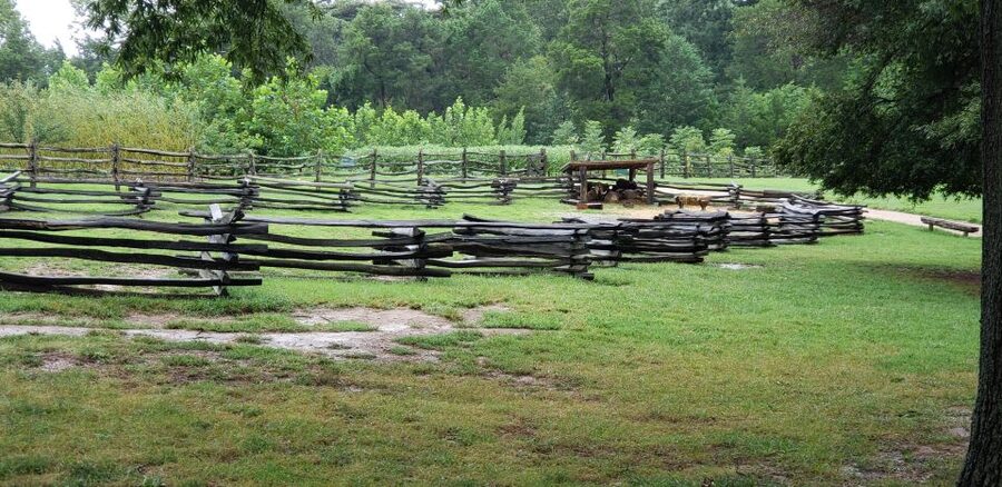 From Washington DC: Old Town Alexandria & Mount Vernon Tour - Washington’s life inside the mansion and museum