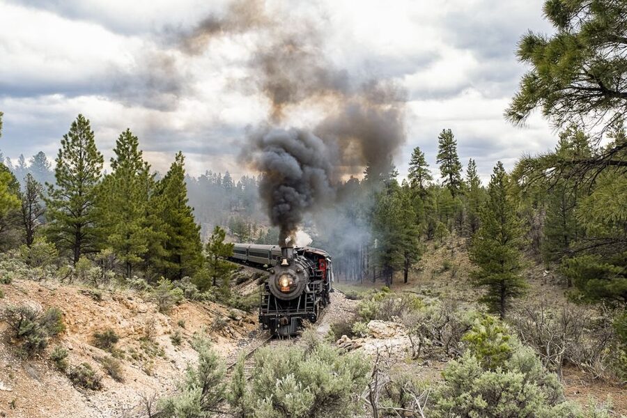From Williams: Grand Canyon Railway Round-Trip Train Ticket - The western style is fun, but not subtle