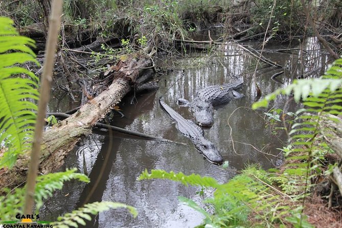 Full-Day Kayak Adventure in the Everglades - A full day beyond the Everglades boardwalks