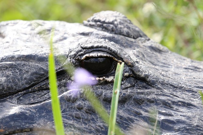 Full-Day Kayak Adventure in the Everglades - Meeting up in Homestead and following the guide