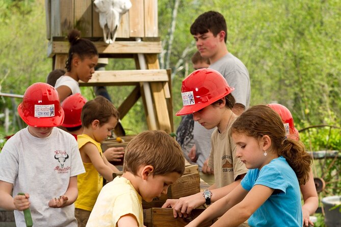 Gem Mining and Goat Farm Walking Tour in Hendersonville - Key points at a glance