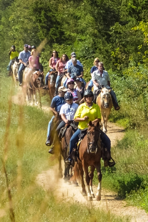 Gettysburg: Licensed Guided Battlefield Horseback Tour - Why horseback riding changes Gettysburg