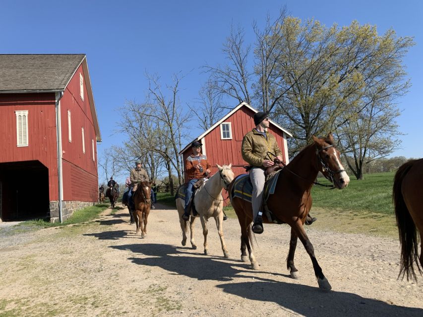 Gettysburg: Licensed Guided Battlefield Horseback Tour - What the two-hour ride feels like