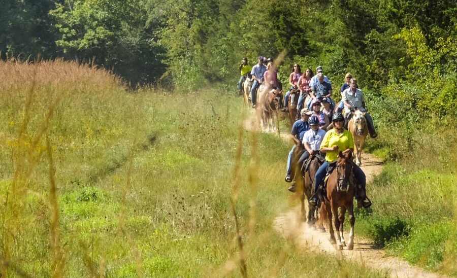 Gettysburg: Licensed Guided Battlefield Horseback Tour - The Virginia Monument and Pickett’s Charge