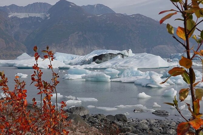 Grand Knik Helicopter Tour - 2 hours 3 landings - ANCHORAGE AREA - Winter versus summer glacier landings