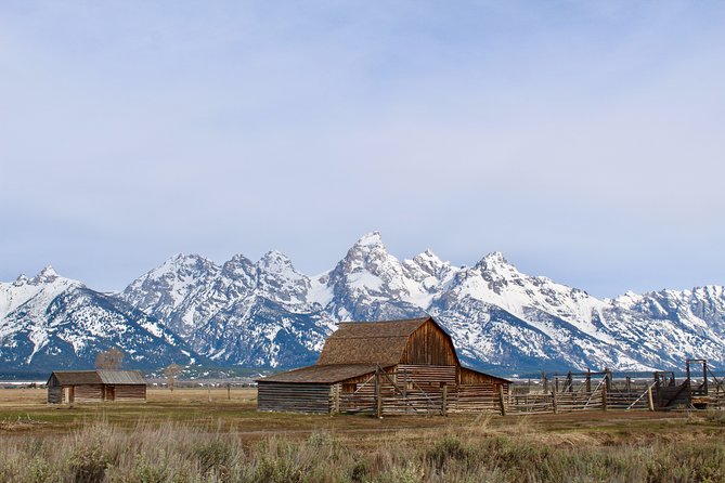Grand Teton Half Day Tour - Key points to know before booking