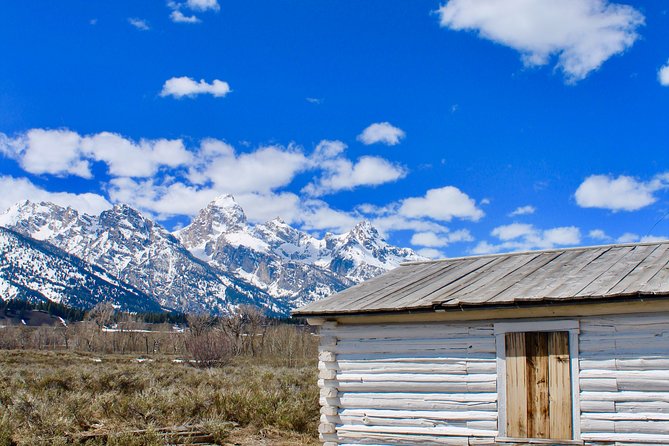 Grand Teton Half Day Tour - Wildlife watching with Luke, Joe, Shane, and the team