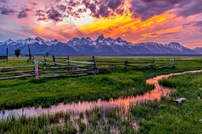 Grand Teton Wildlife Safari in a Enclosed or Open-Air Vehicle (season dependent) - Key points to know before booking