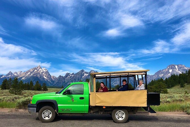Grand Teton Wildlife Safari in a Enclosed or Open-Air Vehicle (season dependent) - Four hours in Grand Teton with a wildlife guide