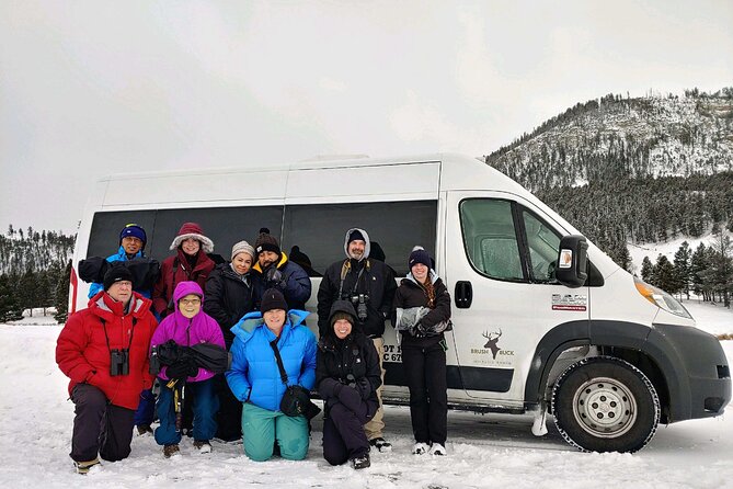 Grand Teton Wildlife Safari in a Enclosed or Open-Air Vehicle (season dependent) - Open-air safari seats from June through mid-September