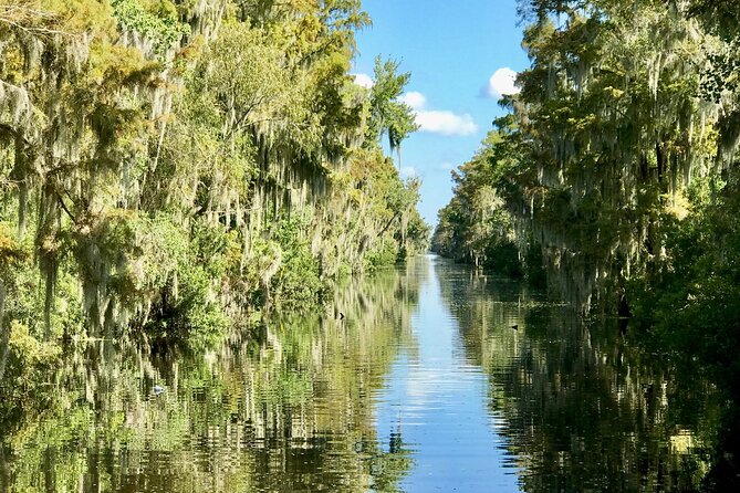 Guided Boat Tour of New Orleans Bayou - Who will enjoy this tour most?
