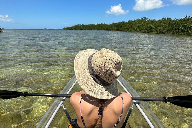 Guided Clear Kayak Eco-Tour Near Key West - Why the clear kayak matters on Sugarloaf Key