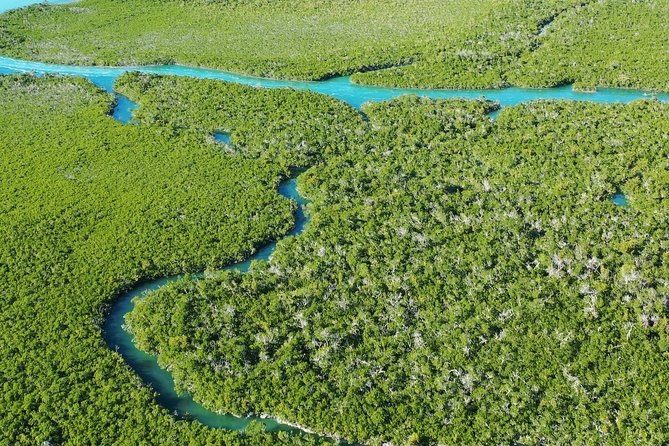 Guided Clear Kayak Eco-Tour Near Key West - How hard is the two-hour paddle?