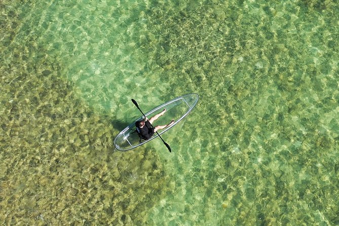 Guided Clear Kayak Eco-Tour Near Key West - Entering the narrow mangrove tunnels