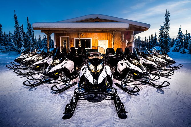 Guided Fairbanks Snowmobile Tour - Wildlife and winter scenery
