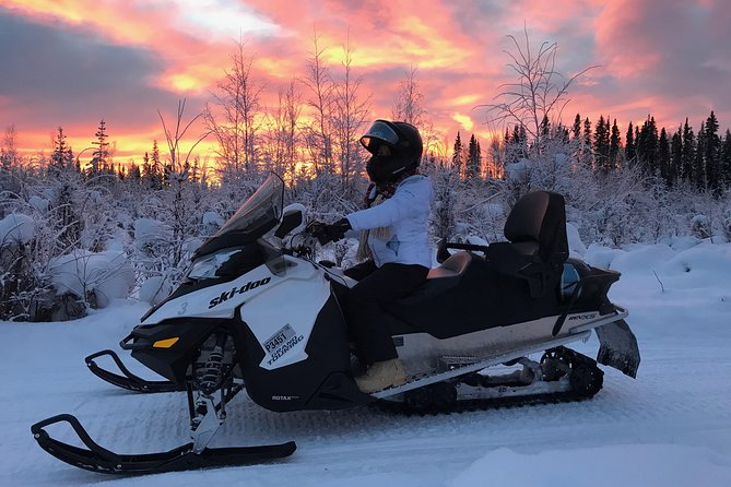 Guided Fairbanks Snowmobile Tour - One or two riders on a Ski Doo