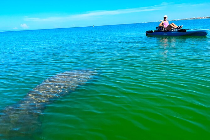 Guided Hobie Kayak EcoTour: Premium Eco Experience Bonita Springs - Key points at a glance