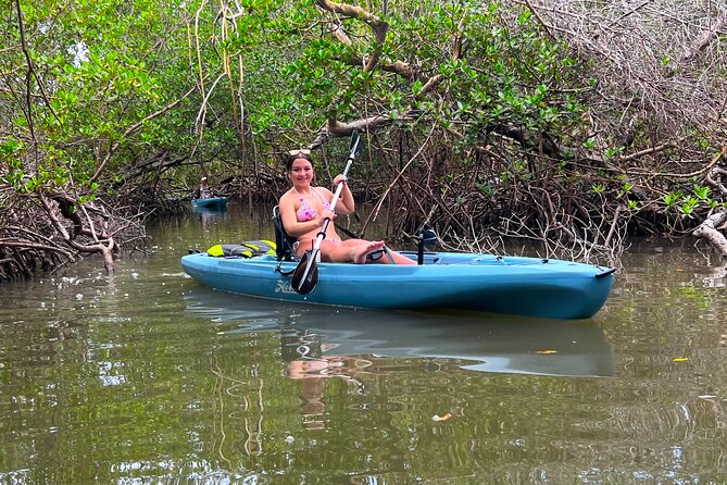 Guided Hobie Kayak EcoTour: Premium Eco Experience Bonita Springs - Looking for dolphins, manatees, and coastal birds