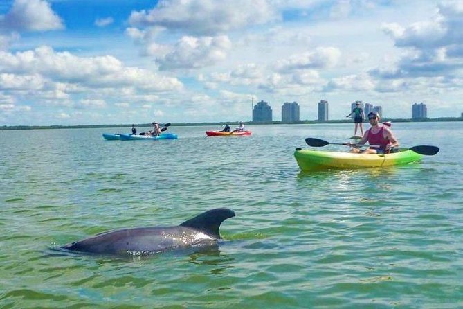 Guided Island EcoTour: CLEAR/Standard Kayak, SUP - Bonita Springs - Weather and tide can reshape the outing