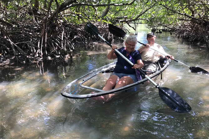 Guided Island EcoTour: CLEAR/Standard Kayak, SUP - Bonita Springs - Who will enjoy this Bonita Springs eco-tour?