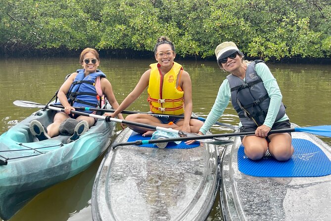 Guided Island EcoTour: CLEAR/Standard Kayak, SUP - Bonita Springs - The beach stop: shells, sand, and a change of pace