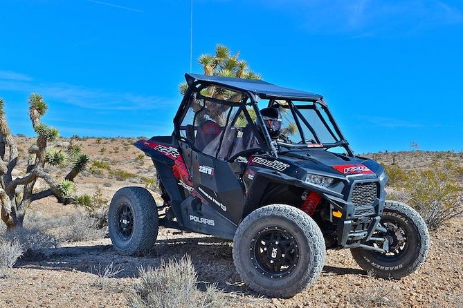 Guided Mojave Desert Off Road RZR Adventure - From casino lights to Mojave dirt in 30 minutes