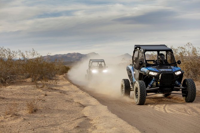 Guided Mojave Desert Off Road RZR Adventure - Two hours among Mojave trails and rock formations