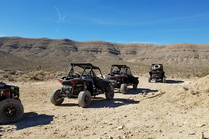 Guided Mojave Desert Off Road RZR Adventure - Who should book this Mojave RZR ride?